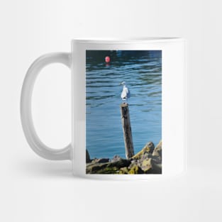 Seagull resting on a post Mug